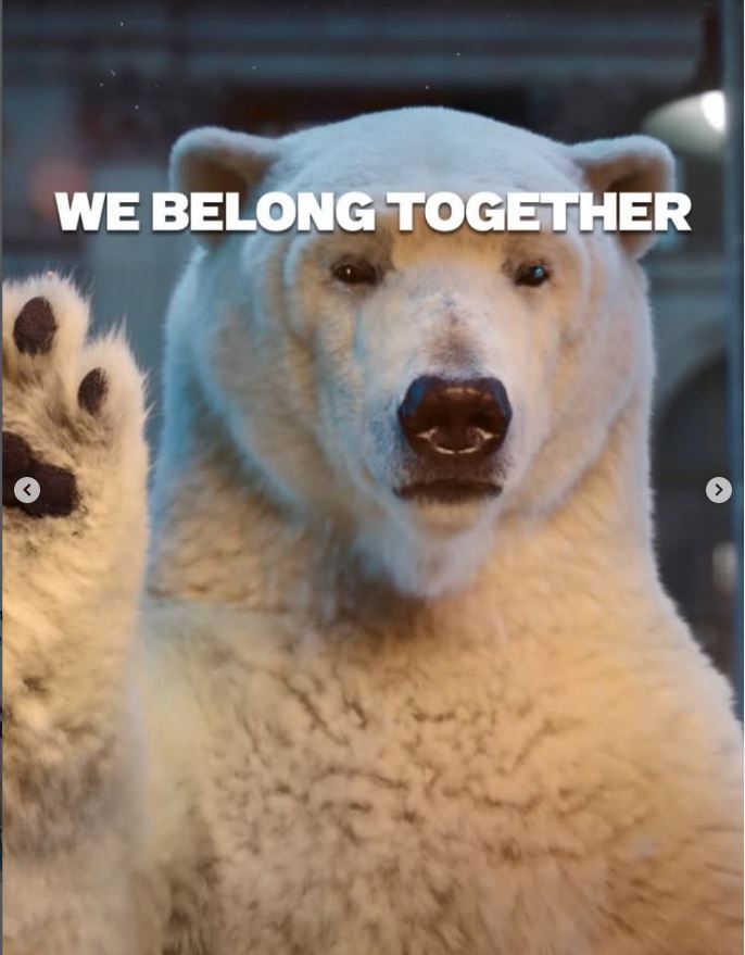 Meet Polar Bear: The Face Behind India's Coolest Cold Coffee Brand | Aera Café